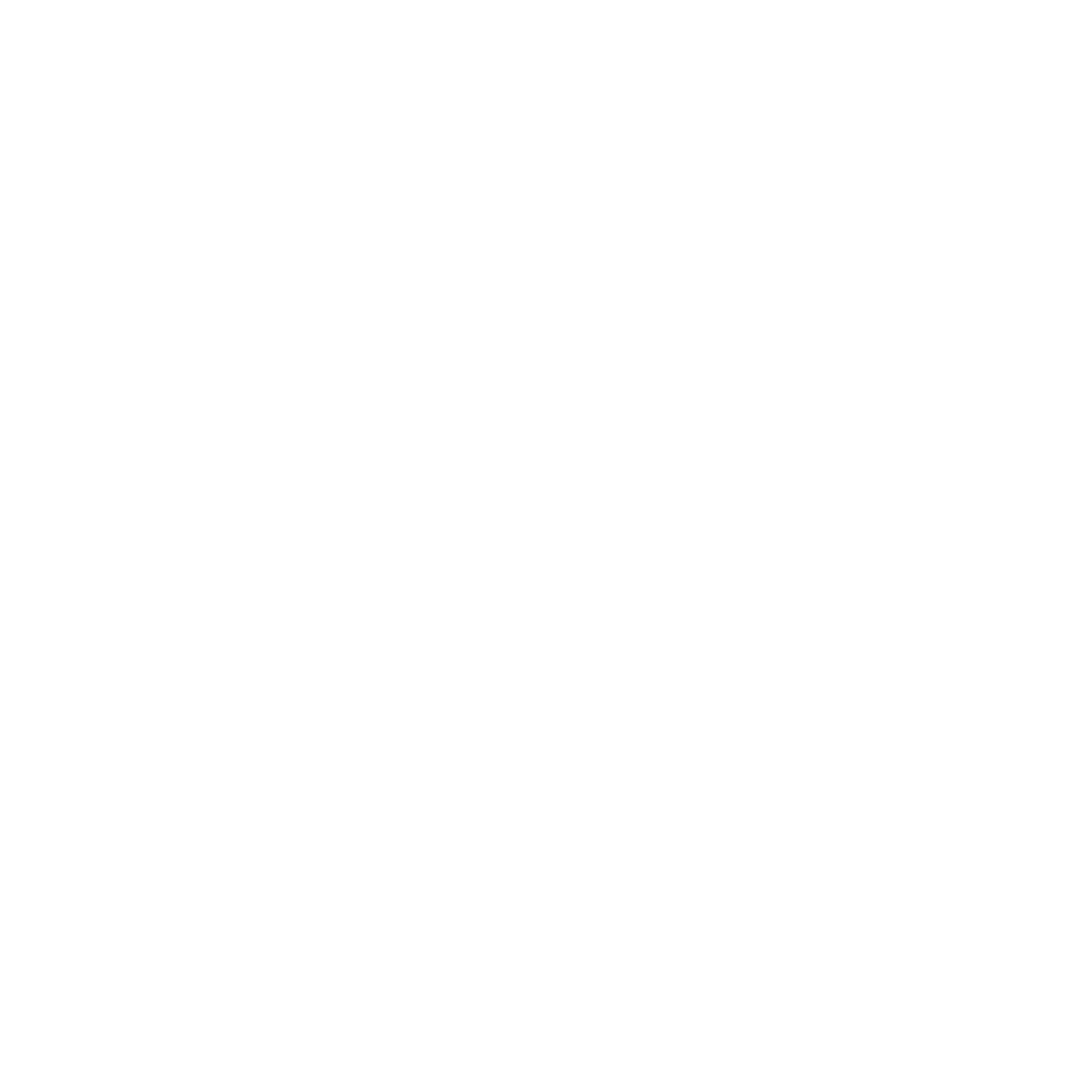 cupra_service_weiss
